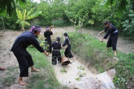 Về Miền Tây tham gia hành trình du lịch Cồn Thới Sơn - Tiền Giang