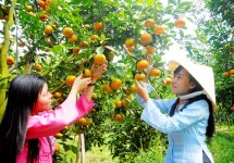 Tour Du Lịch Hà Nội – Sài Gòn – Cà Mau – Bạc Liêu – Sóc Trăng – Cần Thơ 5 Ngày 4 Đêm