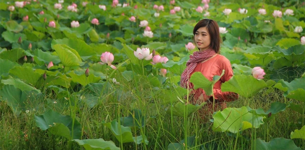 Đồng sen Tháp Mười, một cảnh đẹp của du lịch miền Tây